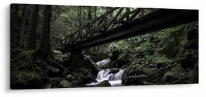 Fekete erdő képe (120x50 cm)