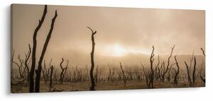 Kép - Csupasz fák (120x50 cm)