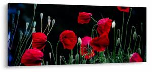 Kép - Pipacsok tánca (120x50 cm)
