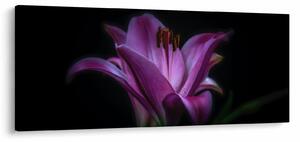 A liliom képe (120x50 cm)