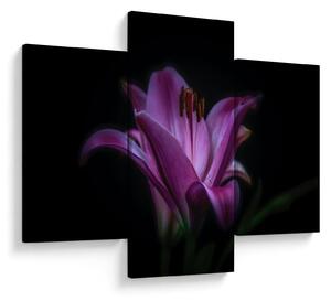 A liliom képe (90x60 cm)