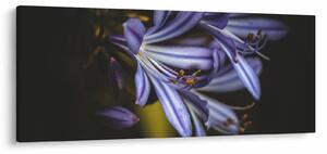 Kép - Lila (120x50 cm)