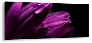 Kép - Vízcsepp (120x50 cm)