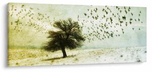Kép - Festett madárállomány (120x50 cm)