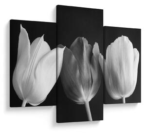 Kép - fekete-fehér tulipán virág (90x60 cm)