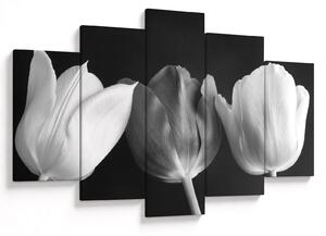 Kép - fekete-fehér tulipán virág (150x105 cm)