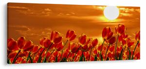 Kép egy virágzó mező tulipánokkal (120x50 cm)