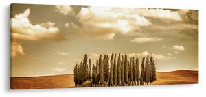 A Tisztás képe (120x50 cm)
