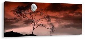 Kép - Hold megvilágítja az éjszakát (120x50 cm)