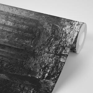 Fotótapéta az erdő titka fekete fehérben - 150x100