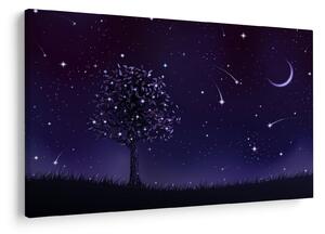 Kép - Illusztrációban fogott éj (90x60 cm)