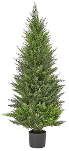 Műnövény CEDAR TREE 120 cm Zöld