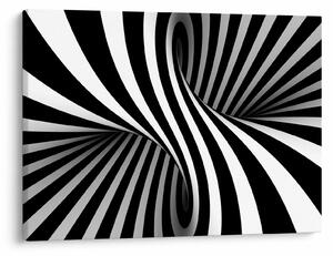 Absztrakt kép zebra csíkokkal (70x50 cm)