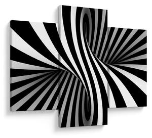 Absztrakt kép zebra csíkokkal (90x60 cm)