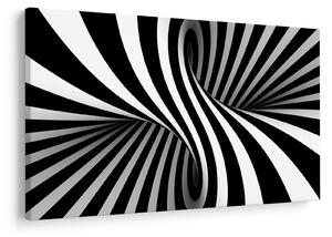 Absztrakt kép zebra csíkokkal (90x60 cm)
