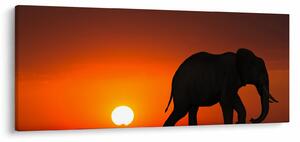 Elefánt képe naplementekor (120x50 cm)