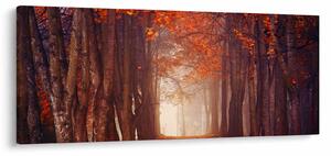 Kép - őszi erdő (120x50 cm)