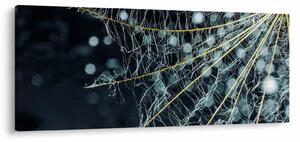 Kép - Virág pókhálóval (120x50 cm)