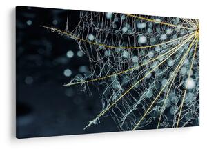 Kép - Virág pókhálóval (90x60 cm)