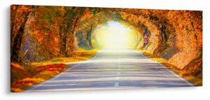 Kép - kapu a fák koronájából (120x50 cm)
