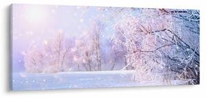 Kép - Fagyos tél (120x50 cm)