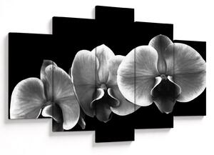 Egy orchidea virág képe (150x105 cm)