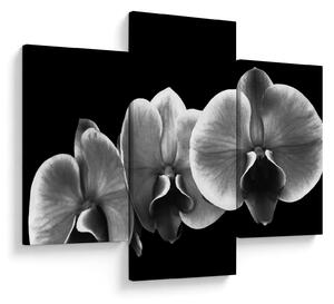 Egy orchidea virág képe (90x60 cm)