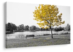 Kép - Pihenés a parkban (90x60 cm)