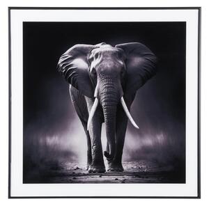 Kép 50x50 cm Elephant – PT LIVING