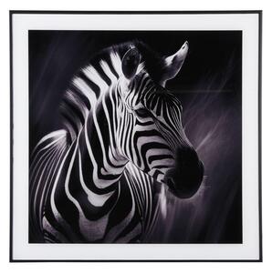 Kép 50x50 cm Zebra – PT LIVING