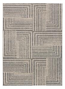 Szürke-bézs szőnyeg 160x230 cm Paula – Universal
