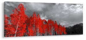 Kép - fák őszi színben (120x50 cm)