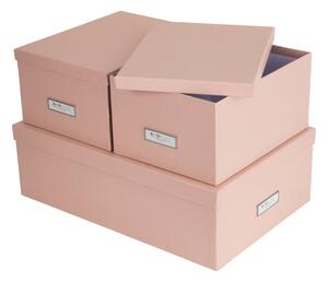 Fedeles karton tárolódoboz szett 3 db-os Inge – Bigso Box of Sweden