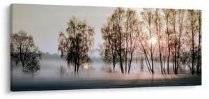 Kép - reggeli szárazság (120x50 cm)