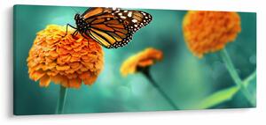 Egy pillangó képe (120x50 cm)