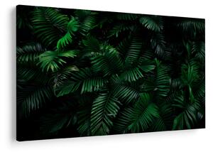 Kép - trópusi páfrány (90x60 cm)