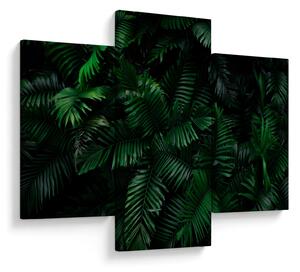 Kép - trópusi páfrány (90x60 cm)