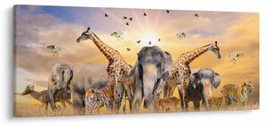 Kép - Afrikai állatok (120x50 cm)