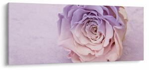 Egy rózsa virág részlete (120x50 cm)