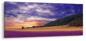A levendula rét képe (120x50 cm)