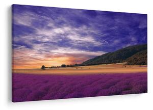 A levendula rét képe (90x60 cm)