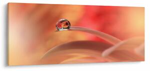 Virágos harmatcsepp képe (120x50 cm)