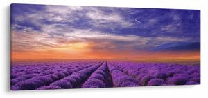 Egy levendula mező képe (120x50 cm)