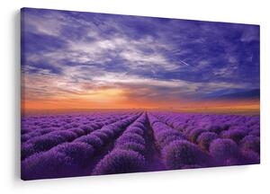 Egy levendula mező képe (90x60 cm)