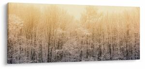 Fagyos erdő képe (120x50 cm)