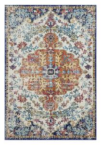 Szőnyeg 120x170 cm Nova – Asiatic Carpets