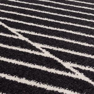 Fekete-fehér szőnyeg 120x170 cm Muse – Asiatic Carpets