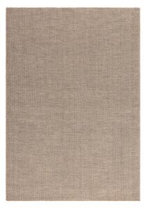 Világosbarna szőnyeg 200x290 cm Global – Asiatic Carpets