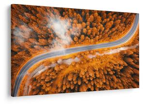 Kép - Hegyi út (90x60 cm)