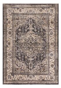 Antracitszürke szőnyeg 240x330 cm Sovereign – Asiatic Carpets